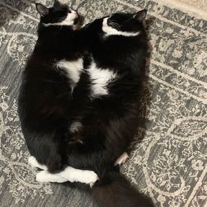 Meet your Posher, Patricia